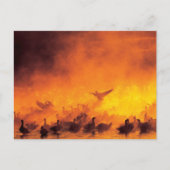 Bosque del Apache National Wildlife Refuge, NM ポストカード (正面)