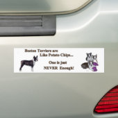 boston_bumpersticker1a バンパーステッカー (車上)