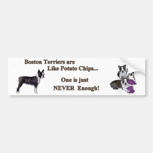 boston_bumpersticker1a バンパーステッカー (正面)