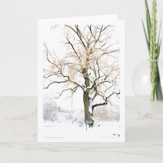 Boston Public Garden:あいさつ文の追加 カード (正面)