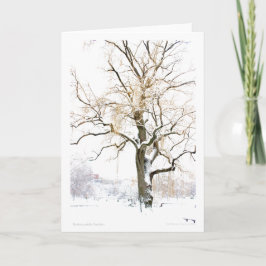 Boston Public Garden：あいさつ文の追加 カード