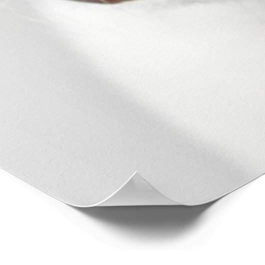 Boston Terrier ポスター (角)