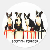 BOSTON TERRIER ラウンドシール (正面)
