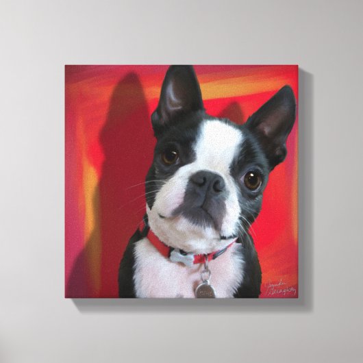 Boston Terrier 12x12の引き伸ばしキャンバス キャンバスプリント (正面)