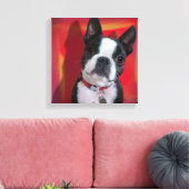 Boston Terrier 12x12の引き伸ばしキャンバス キャンバスプリント (インサイチュ (リビング))