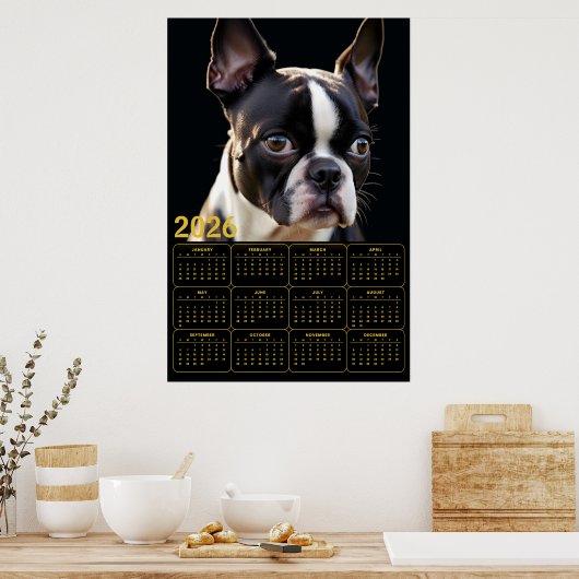 Boston Terrier 2026 Calendar  ポスター (キッチン)
