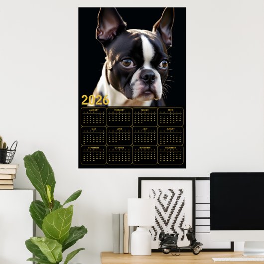 Boston Terrier 2026 Calendar  ポスター (ホームオフィス)
