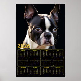 Boston Terrier 2026 Calendar ポスター