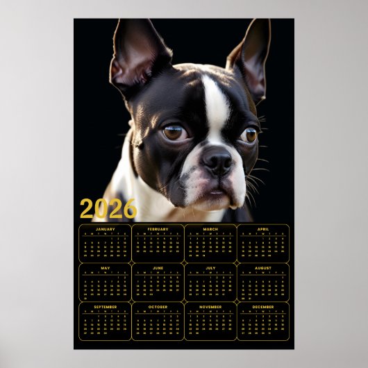 Boston Terrier 2026 Calendar  ポスター (正面)