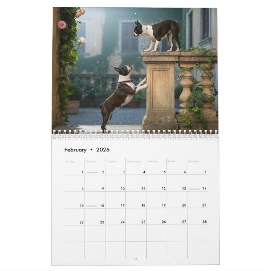 Boston Terrier Calendar カレンダー (2月 2026)