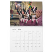 Boston Terrier Calendar カレンダー (1月 2026)