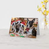 Boston Terrier Christmas Cookie Card カード (黄色い花)