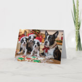 Boston Terrier Christmas Cookie Card カード (正面)