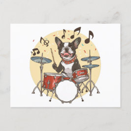 Boston Terrier Dog Playing Drums ポストカード