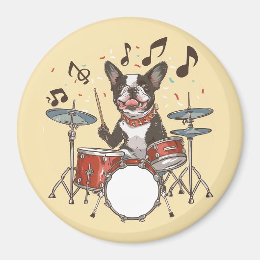 Boston Terrier Dog Playing Drums マグネット (正面)