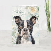 Boston Terrier Dog with White Roses Birthday カード (正面)