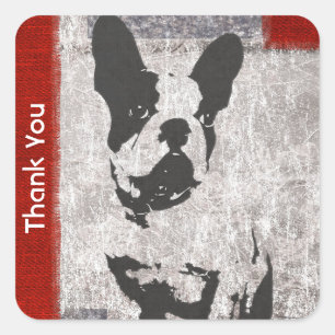 Boston Terrier in Black and White Thank You スクエアシール