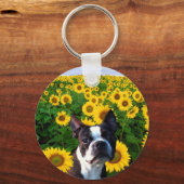 Boston Terrier in Sunflowersキーチェーン キーホルダー (正面)