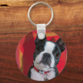 Boston Terrier Key Chain キーホルダー (正面)