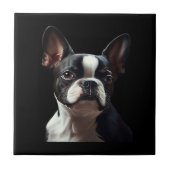 Boston Terrier - Oil Paint Classic T-Shirt タイル (正面)