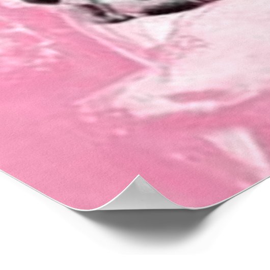 Boston Terrier - poster ポスター (角)