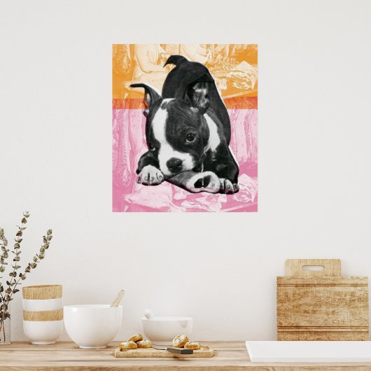 Boston Terrier - poster ポスター (キッチン)