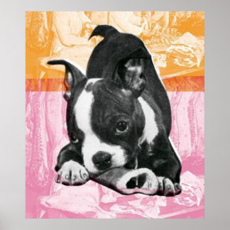 Boston Terrier - poster ポスター