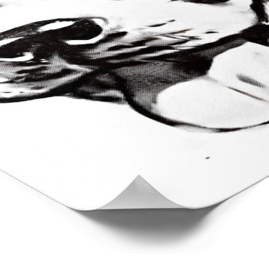 Boston Terrier Poster ポスター (角)