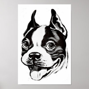 Boston Terrier Poster ポスター