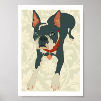 Boston Terrier Print ポスター