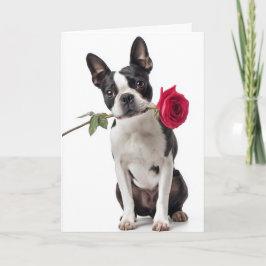 Boston Terrier Valentine カード