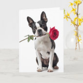Boston Terrier Valentine カード (黄色い花)