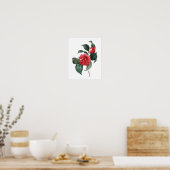 Botanicalプリントof CAMELIAオリジナルby Redoute ポスター (キッチン)