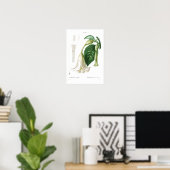 BOTANICAL "ANGEL'S TRUMPET" REDOUTÉ POSTER ポスター (ホームオフィス)
