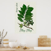 Botanical aromatherapy illustration of Ylang Ylang ポスター (キッチン)