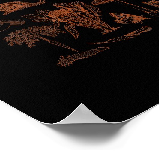 Botanical Art, Frog Fungi Goblincore Aesthetic Cot ポスター (角)