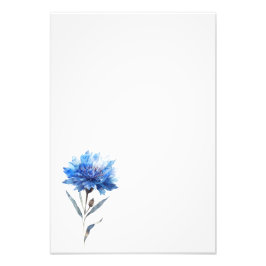 Botanical Cornflower Watercolor Art Print-Stage1 フォトプリント