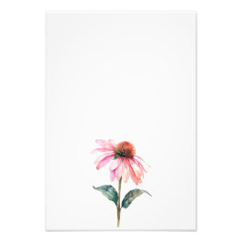 Botanical Echinacea Watercolor Art Print-Stage1 フォトプリント