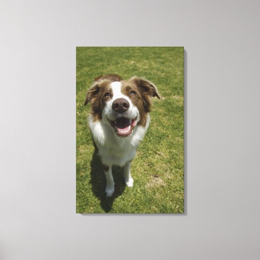 Botanical Gardens, Sydney, New South Wales, 2 キャンバスプリント (正面)