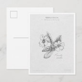 Botanical Illustration 2 'The Awakening of Spring' ポストカード (正面/裏面)