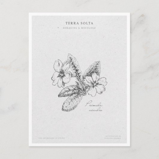 Botanical Illustration 2 'The Awakening of Spring' ポストカード (正面)