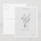Botanical Illustration 4 'The Awakening of Spring' ポストカード (正面/裏面)