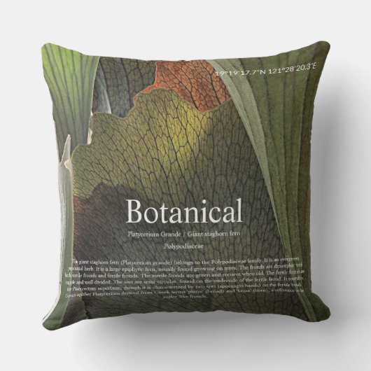 Botanical interior. クッション (裏面)