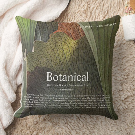 Botanical interior. クッション (ブランケット)