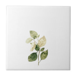 Botanical Leaf Watercolor Art Print-Ficus  タイル