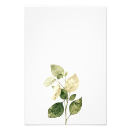 Botanical Leaf Watercolor Art Print-Ficus フォトプリント