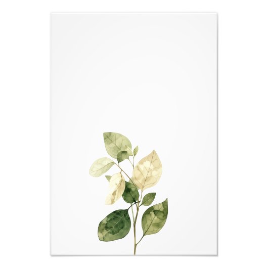 Botanical Leaf Watercolor Art Print-Ficus フォトプリント (正面)