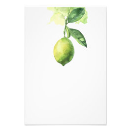 Botanical Lemon Watercolor Art Print-Stage2 フォトプリント