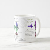 Botanical mug Hyacinth in my garden.  コーヒーマグカップ (正面右)