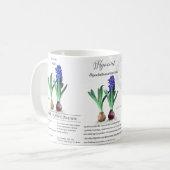 Botanical mug Hyacinth in my garden.  コーヒーマグカップ (正面左)